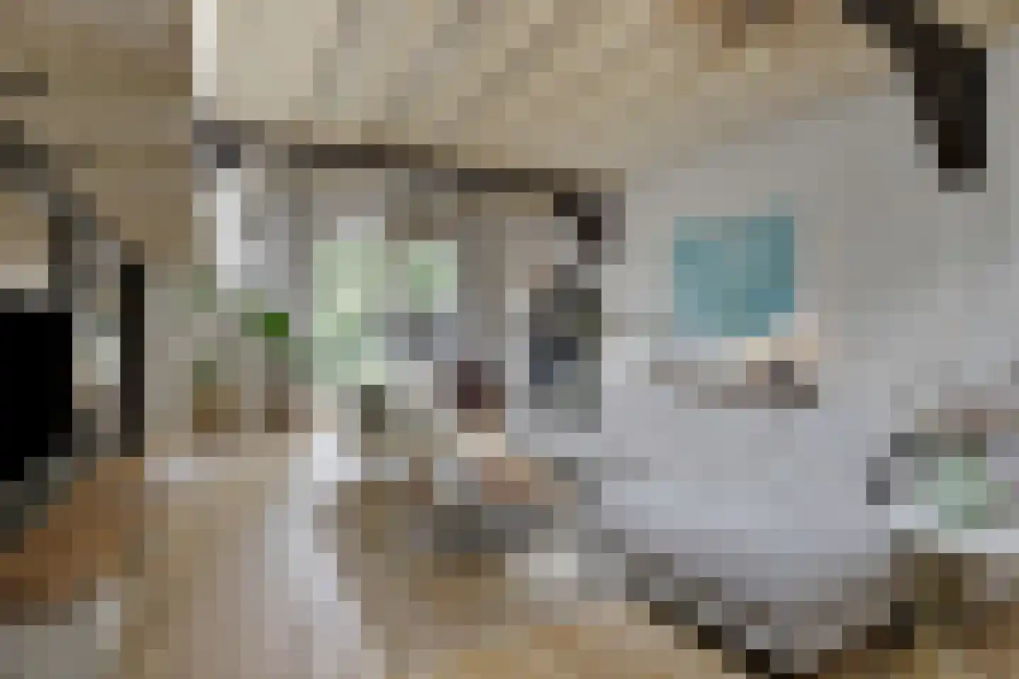Stalen Enk 39 Velp thumbnail 17