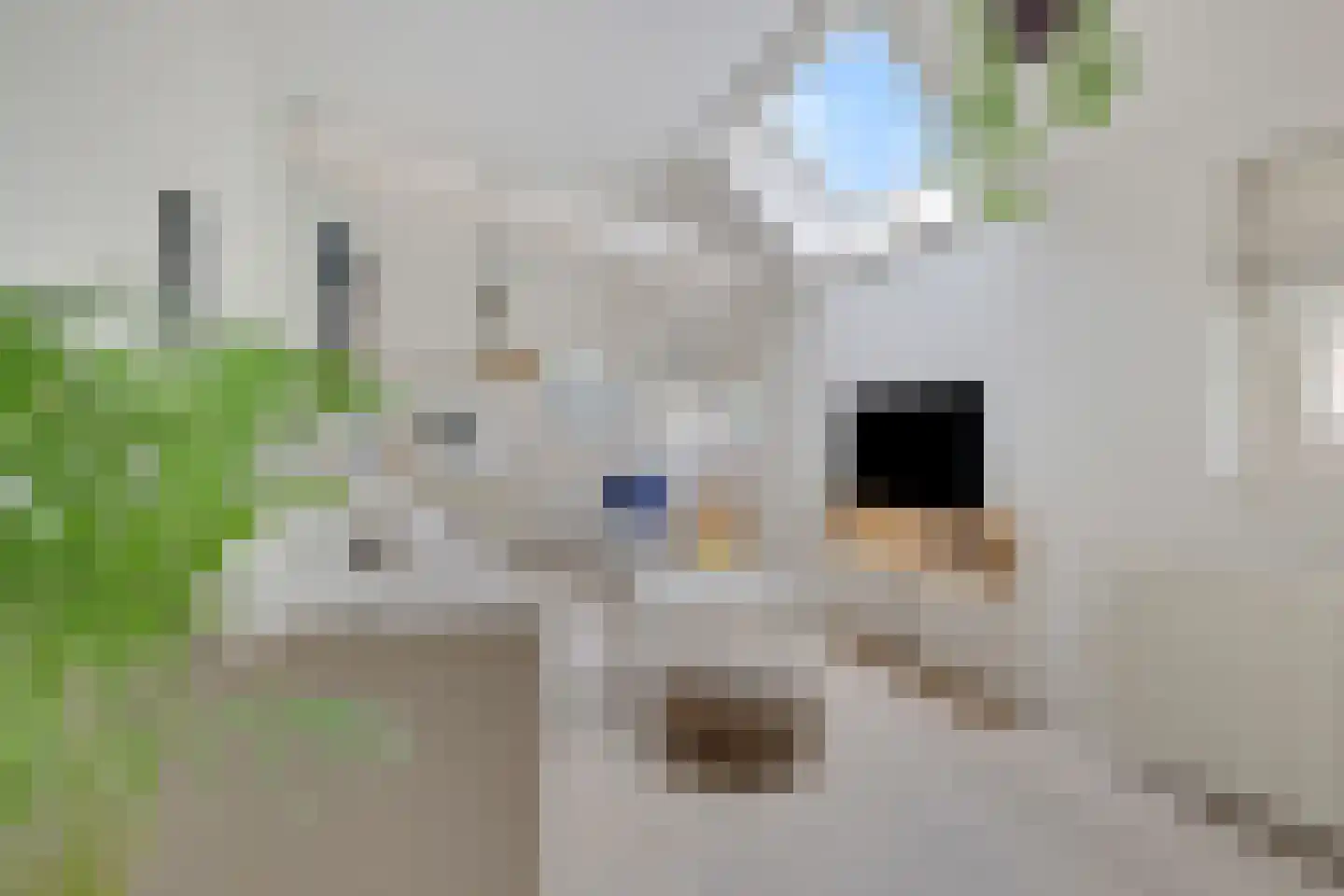 Stalen Enk 39 Velp thumbnail 28