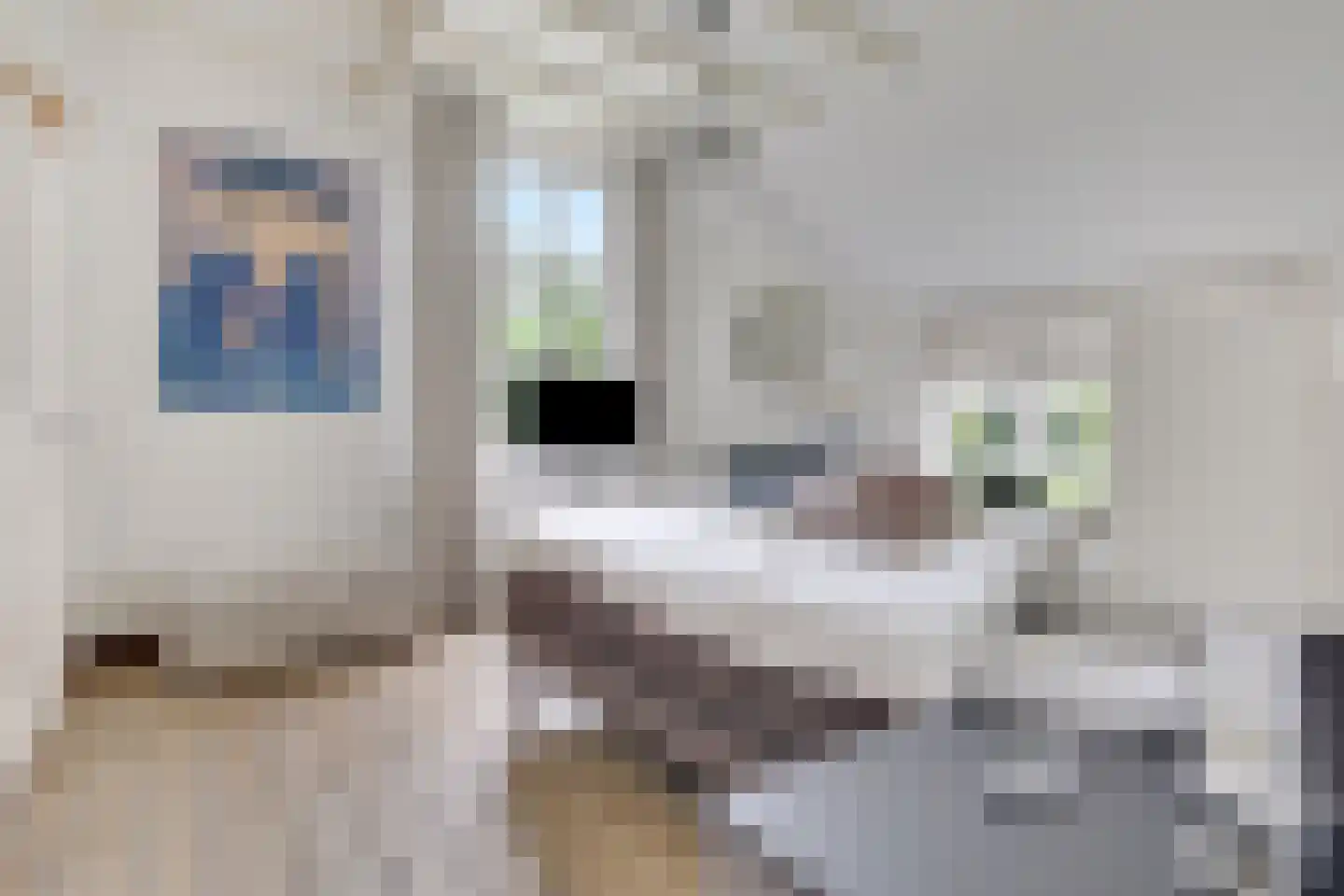 Stalen Enk 39 Velp thumbnail 31