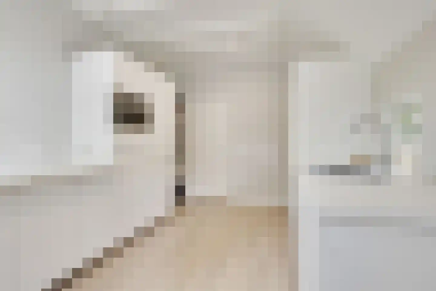 Stalen Enk 39 Velp thumbnail 36