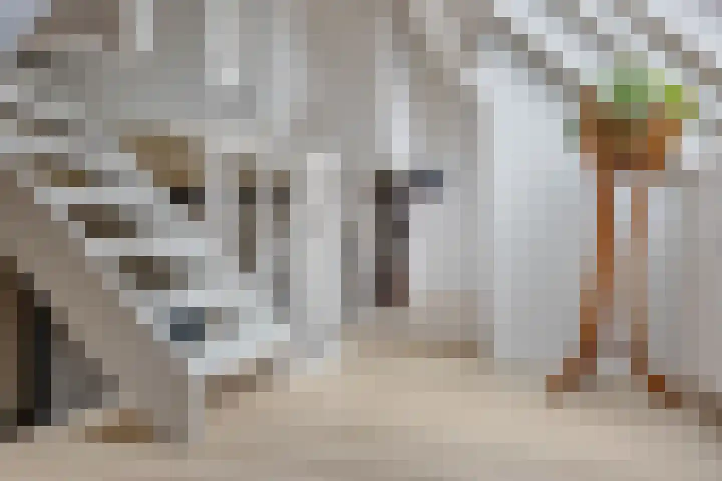 Stalen Enk 39 Velp thumbnail 38