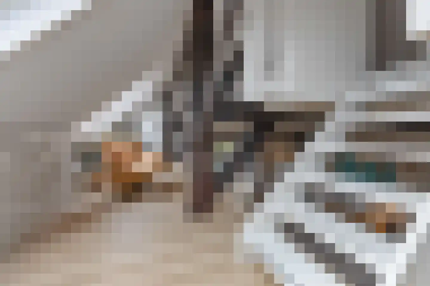 Stalen Enk 39 Velp thumbnail 39