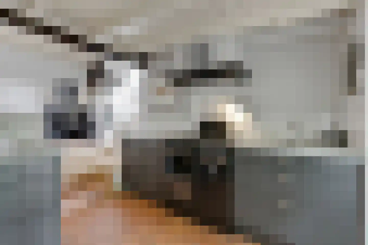 Stalen Enk 39 Velp thumbnail 4