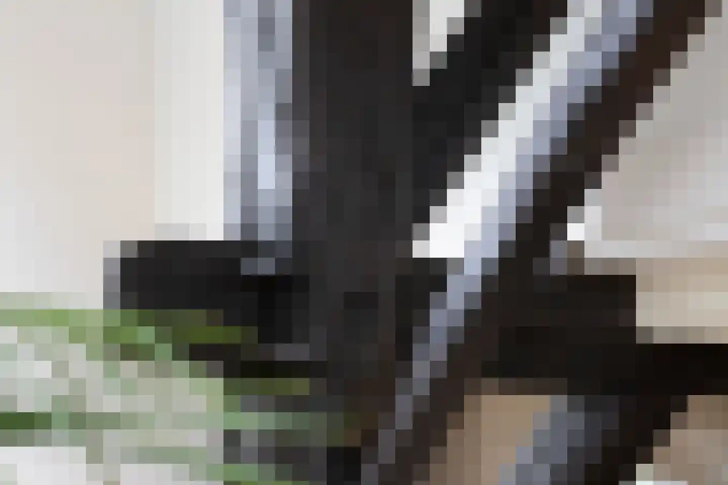 Stalen Enk 39 Velp thumbnail 40