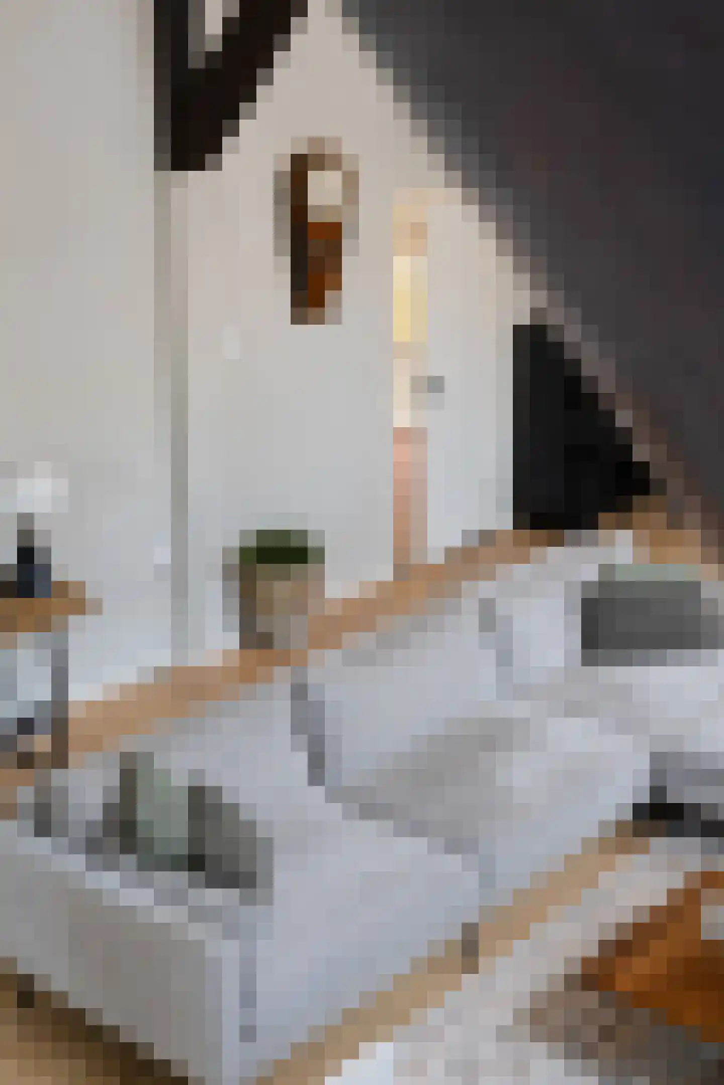 Stalen Enk 39 Velp thumbnail 41