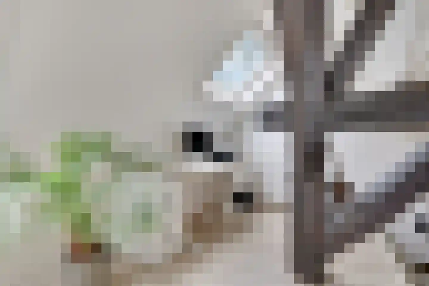 Stalen Enk 39 Velp thumbnail 42