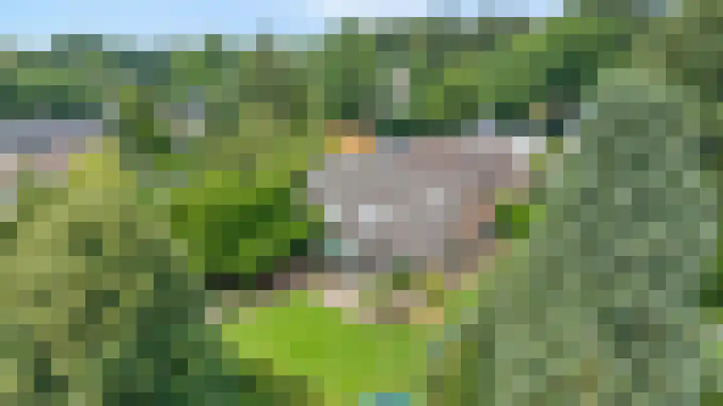 Stalen Enk 39 Velp thumbnail 5