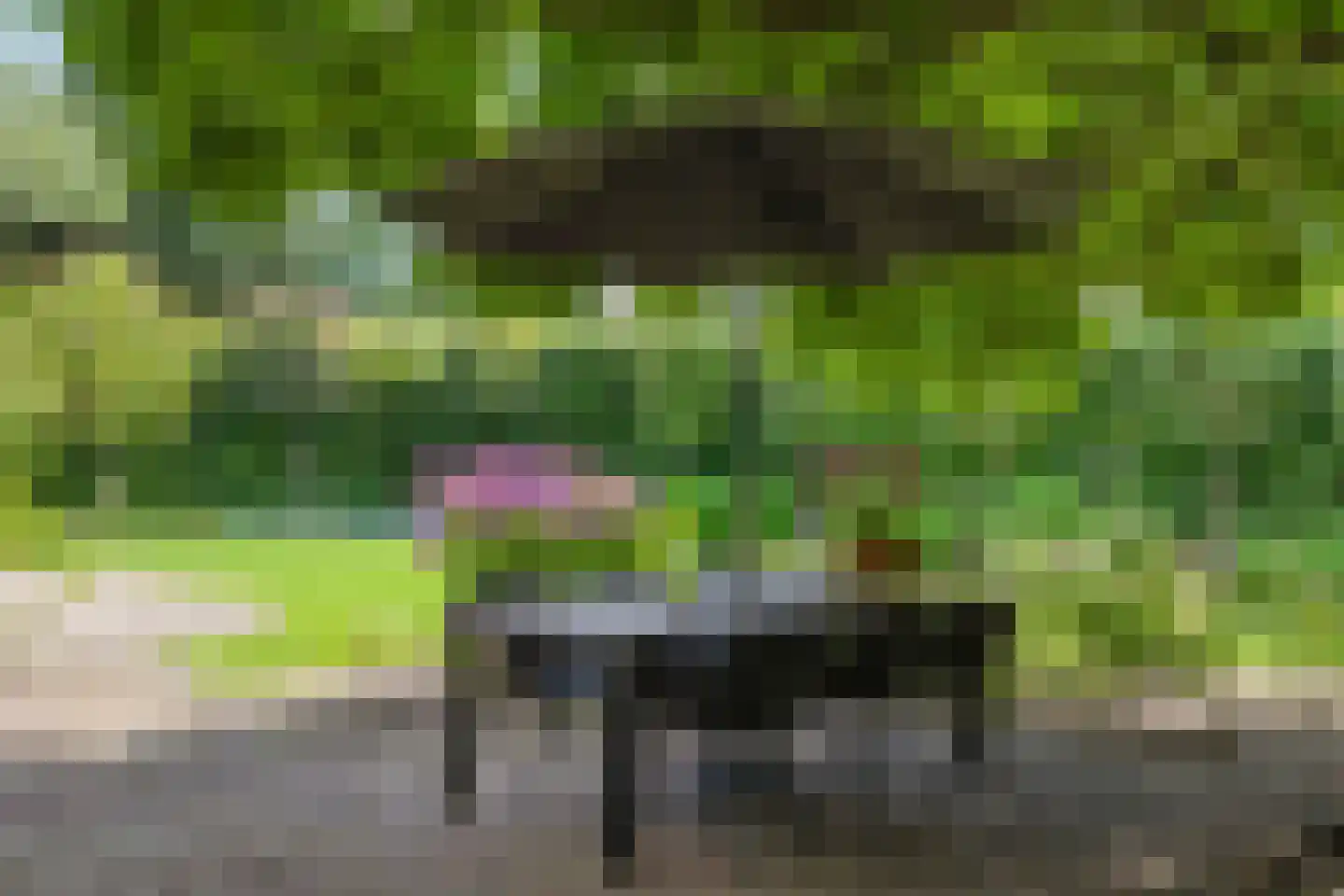 Stalen Enk 39 Velp thumbnail 62