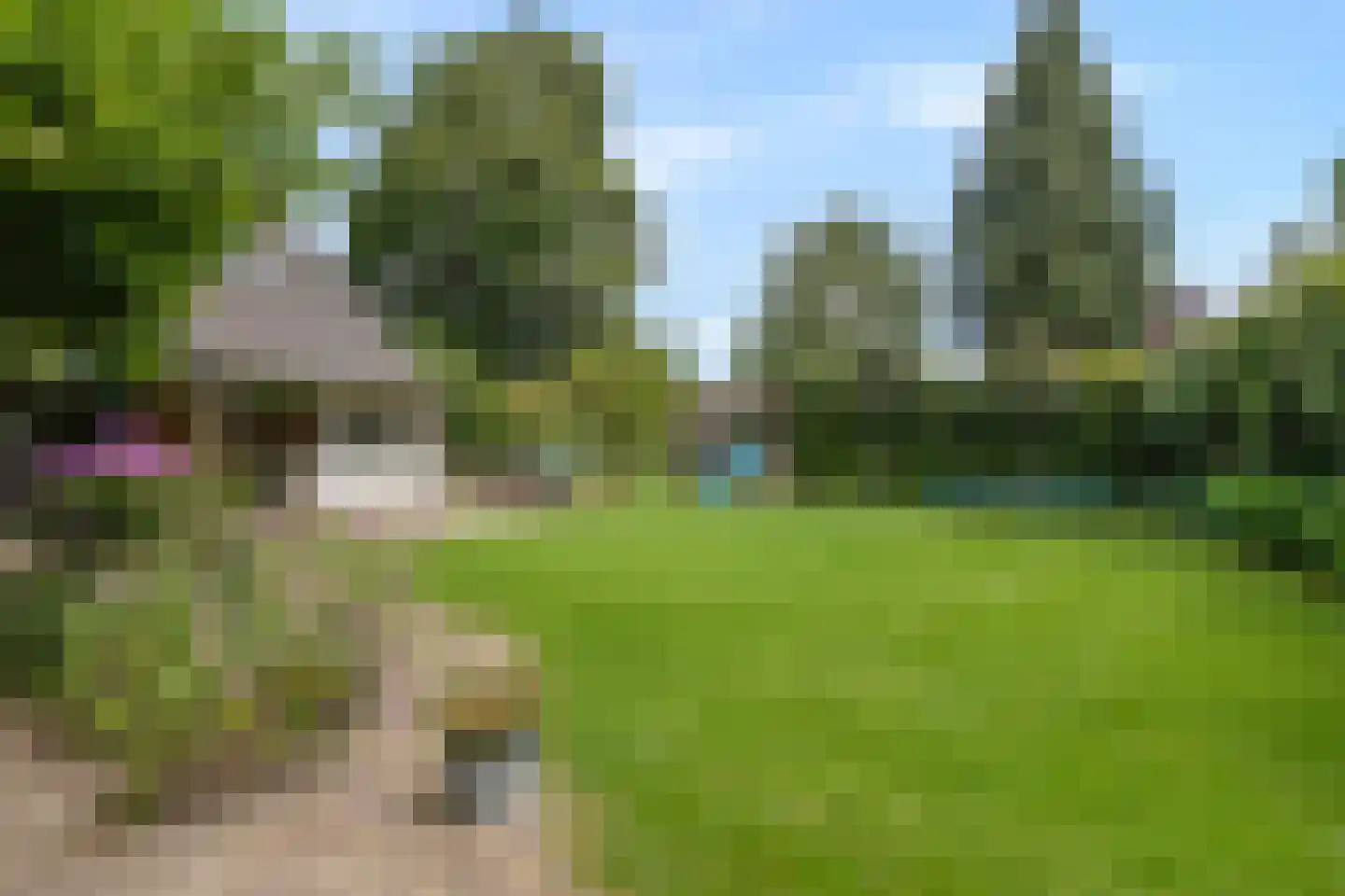 Stalen Enk 39 Velp thumbnail 63