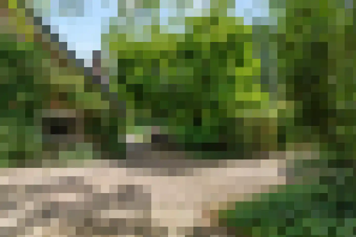 Stalen Enk 39 Velp thumbnail 69