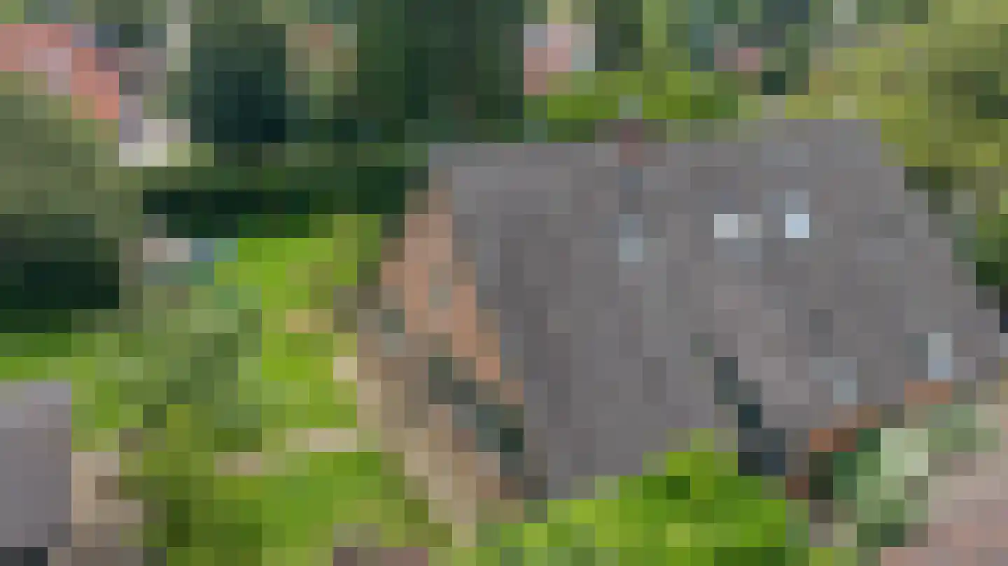 Stalen Enk 39 Velp thumbnail 77