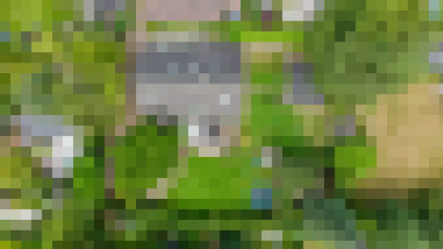 Stalen Enk 39 Velp thumbnail 78