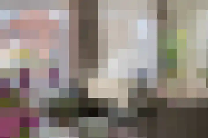 Stalhof 7 Dronten thumbnail 14