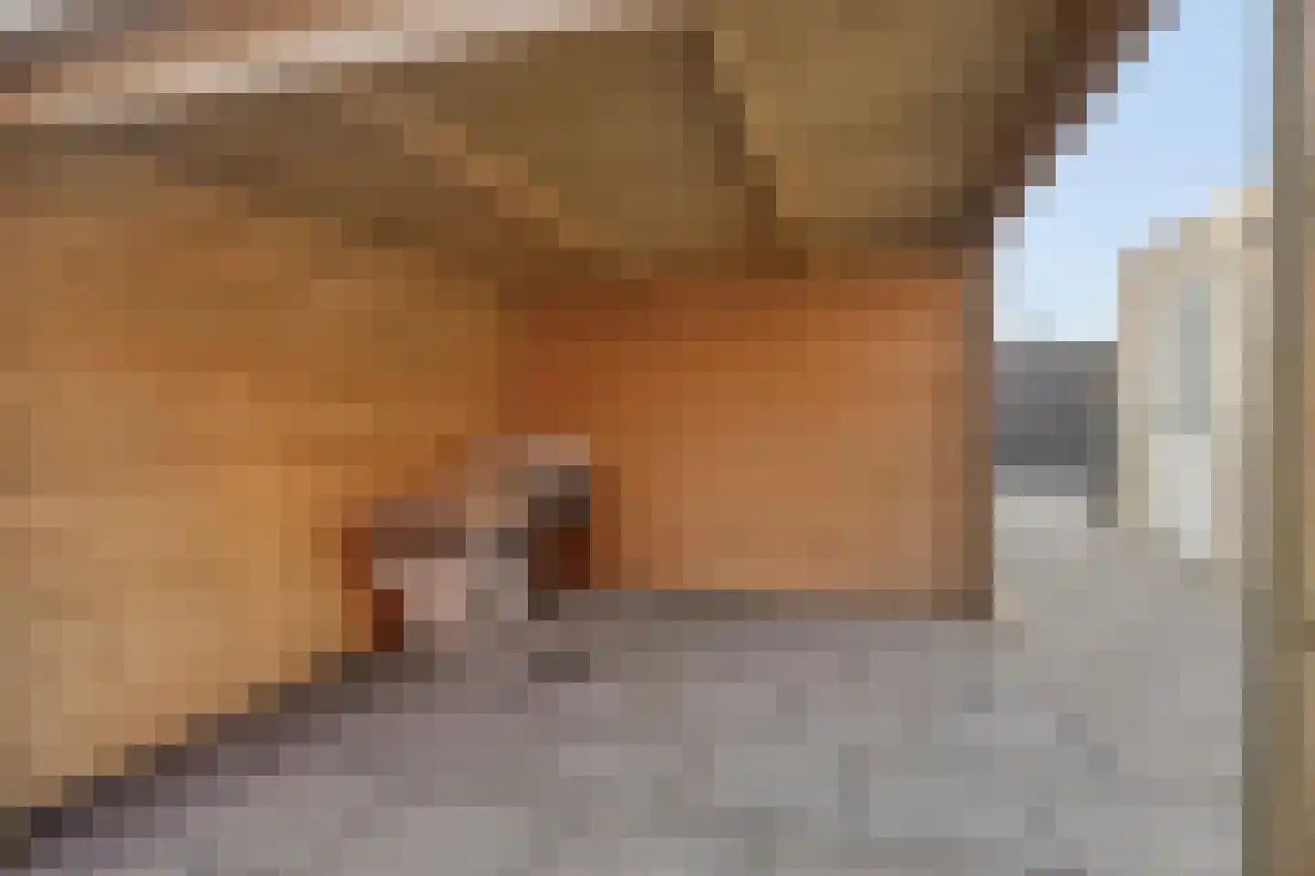 Stalhof 7 Dronten thumbnail 33