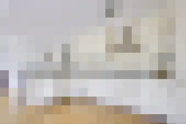 Stalhouderij 15 Zeist thumbnail 12
