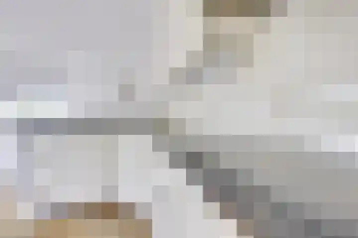 Stalhouderij 15 Zeist thumbnail 14