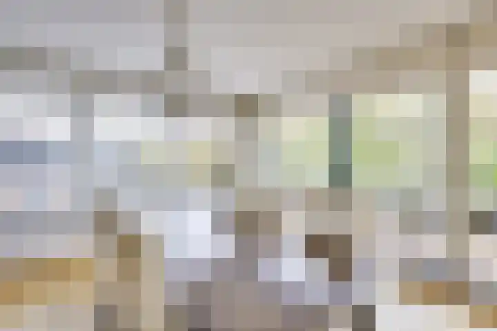 Stalhouderij 15 Zeist thumbnail 17