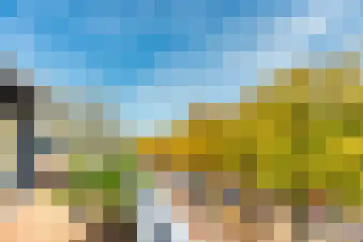Stalhouderij 15 Zeist thumbnail 21