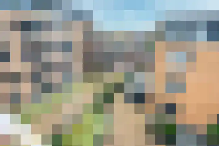 Stalhouderij 15 Zeist thumbnail 22