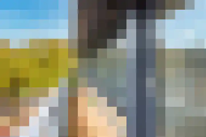 Stalhouderij 15 Zeist thumbnail 23