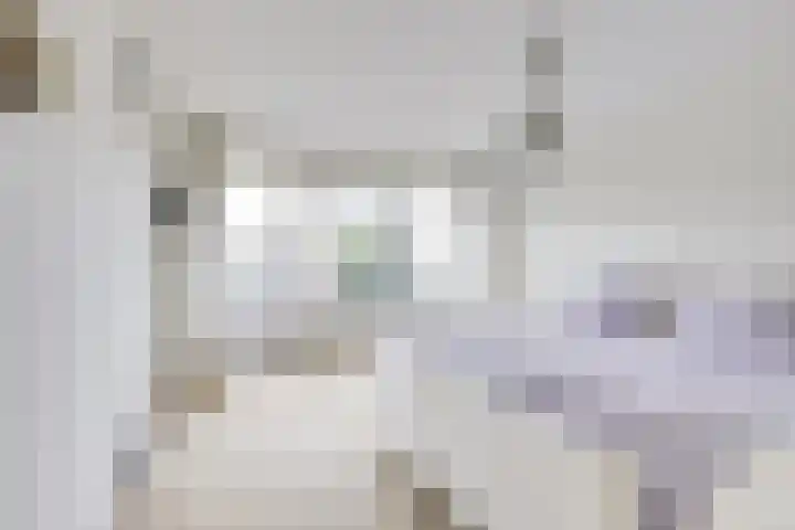 Stalhouderij 15 Zeist thumbnail 29