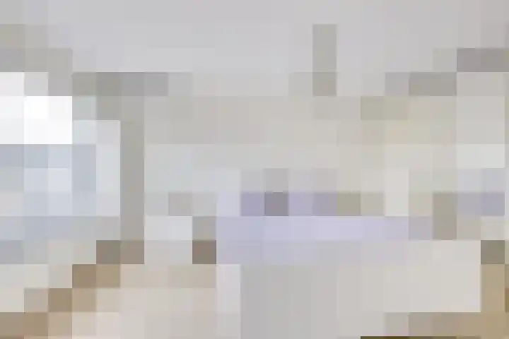Stalhouderij 15 Zeist thumbnail 31