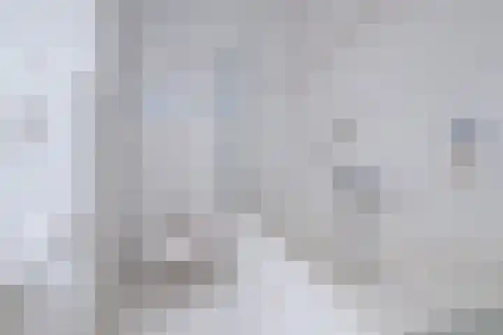 Stalhouderij 15 Zeist thumbnail 34