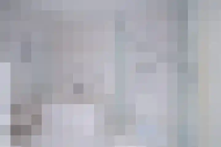 Stalhouderij 15 Zeist thumbnail 37
