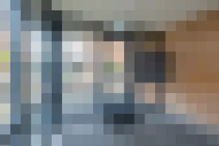 Stalhouderij 15 Zeist thumbnail 47