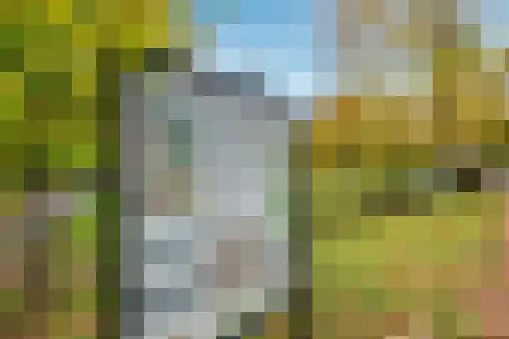 Stalhouderij 15 Zeist thumbnail 55