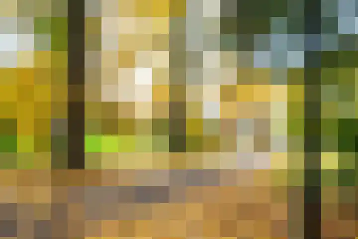 Stalhouderij 15 Zeist thumbnail 56