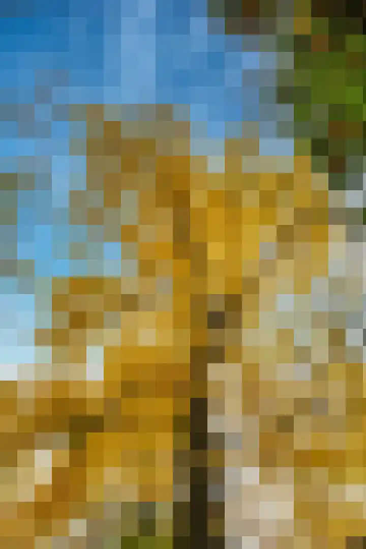 Stalhouderij 15 Zeist thumbnail 57
