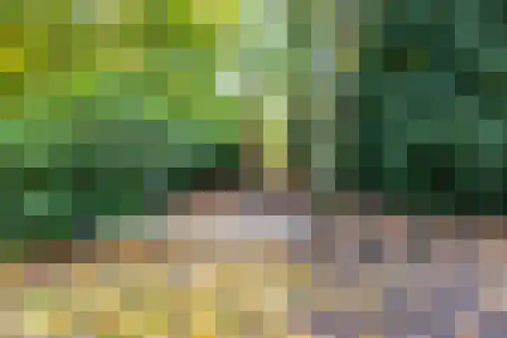Stalhouderij 15 Zeist thumbnail 58