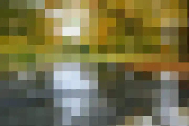 Stalhouderij 15 Zeist thumbnail 59