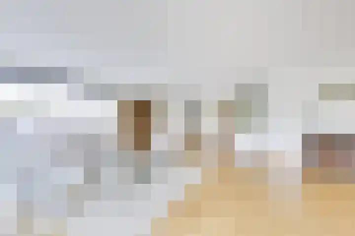 Stalhouderij 15 Zeist thumbnail 7