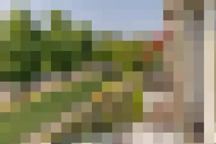 Stalkaarsen 18 Gorinchem thumbnail 18