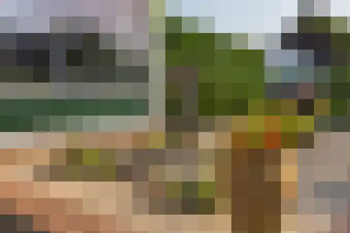 Stalkaarsen 18 Gorinchem thumbnail 31