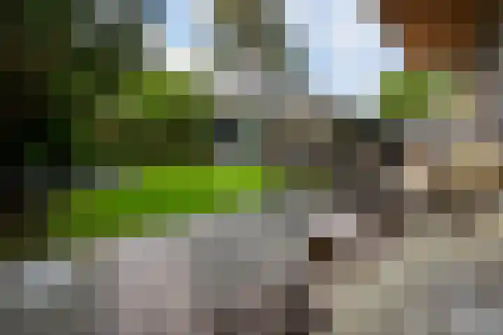Stalkruidlaan 10 Haarlem thumbnail 11