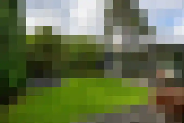 Stalkruidlaan 10 Haarlem thumbnail 12