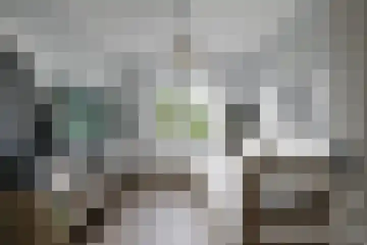 Stalkruidlaan 10 Haarlem thumbnail 21