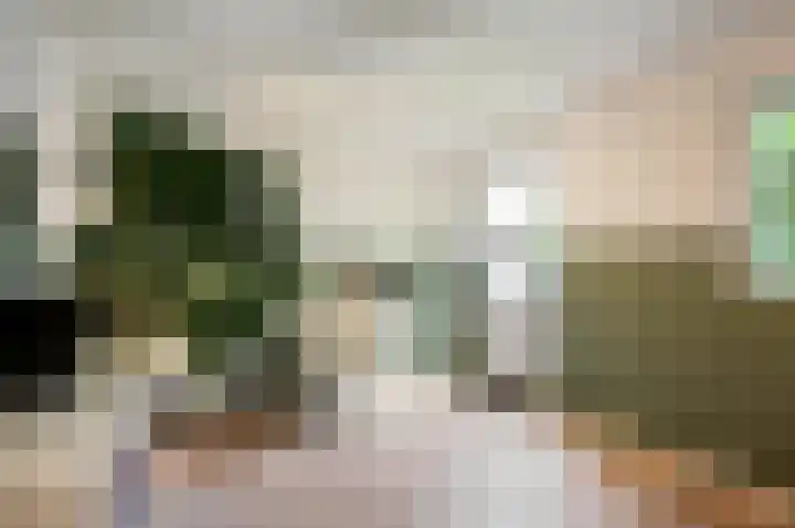 Stalkruidlaan 10 Haarlem thumbnail 29