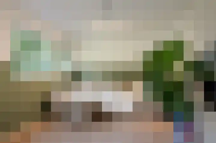 Stalkruidlaan 10 Haarlem thumbnail 30