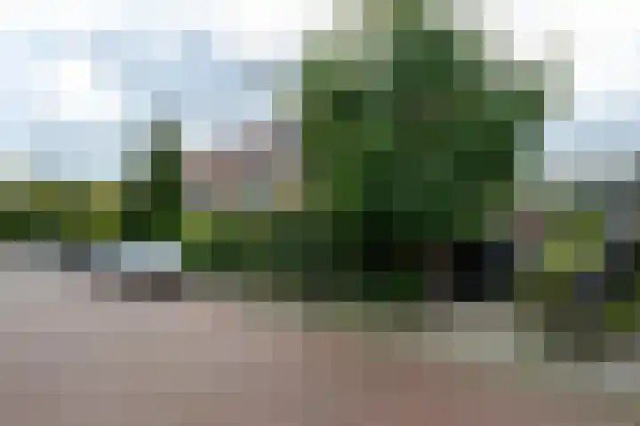 Stalkruidlaan 10 Haarlem thumbnail 35