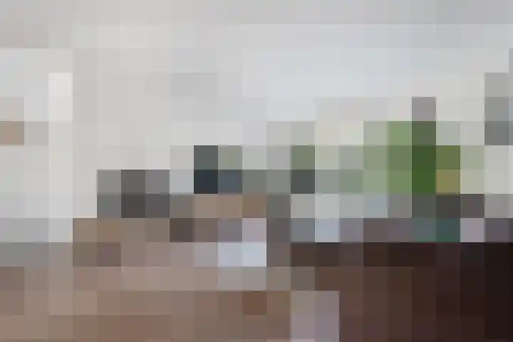 Stalkruidlaan 10 Haarlem thumbnail 4