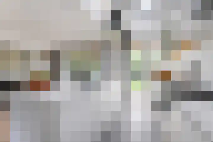 Stalkruidlaan 10 Haarlem thumbnail 8
