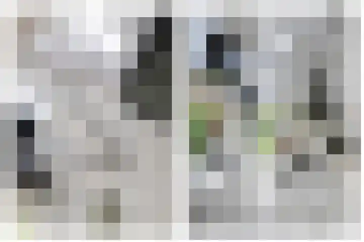 Stalkruidlaan 10 Haarlem thumbnail 9