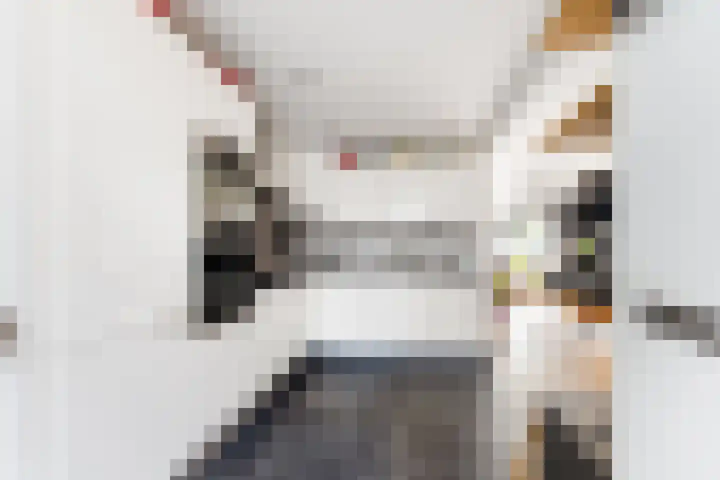 Stalkruidlaan 5 Haarlem thumbnail 11