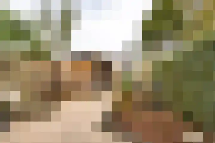 Stalkruidlaan 5 Haarlem thumbnail 14
