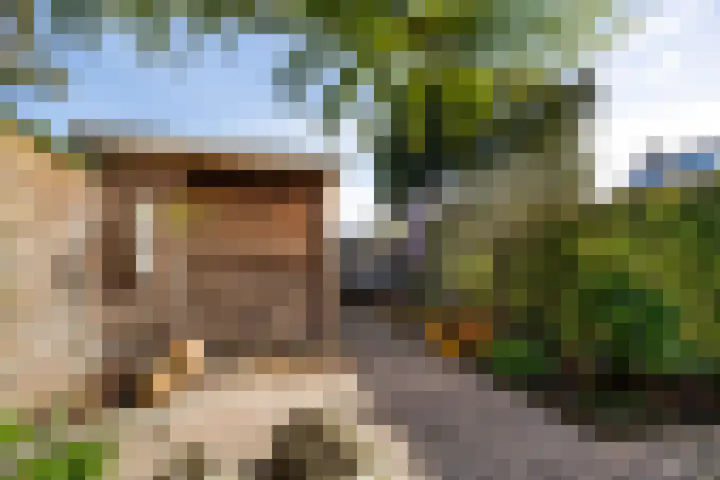 Stalkruidlaan 5 Haarlem thumbnail 15