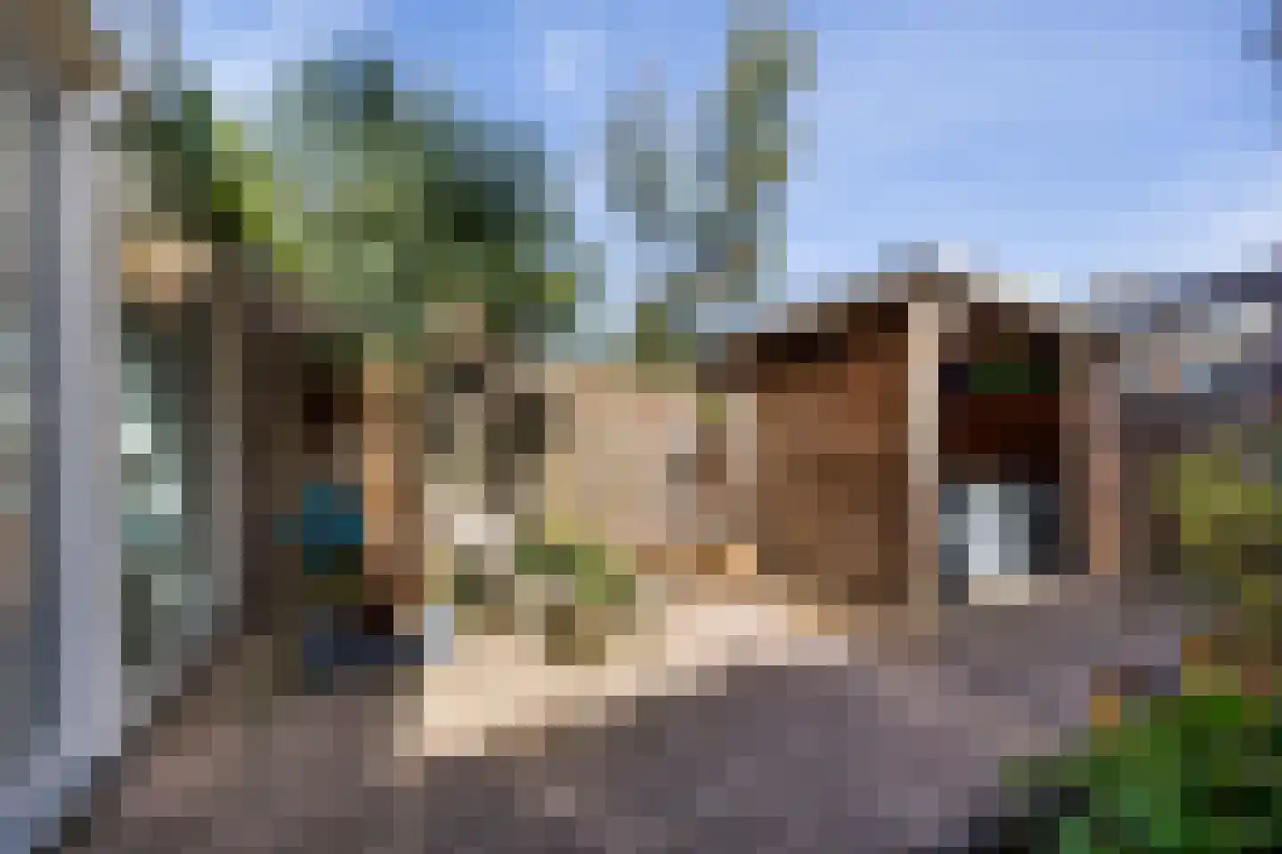 Stalkruidlaan 5 Haarlem thumbnail 17